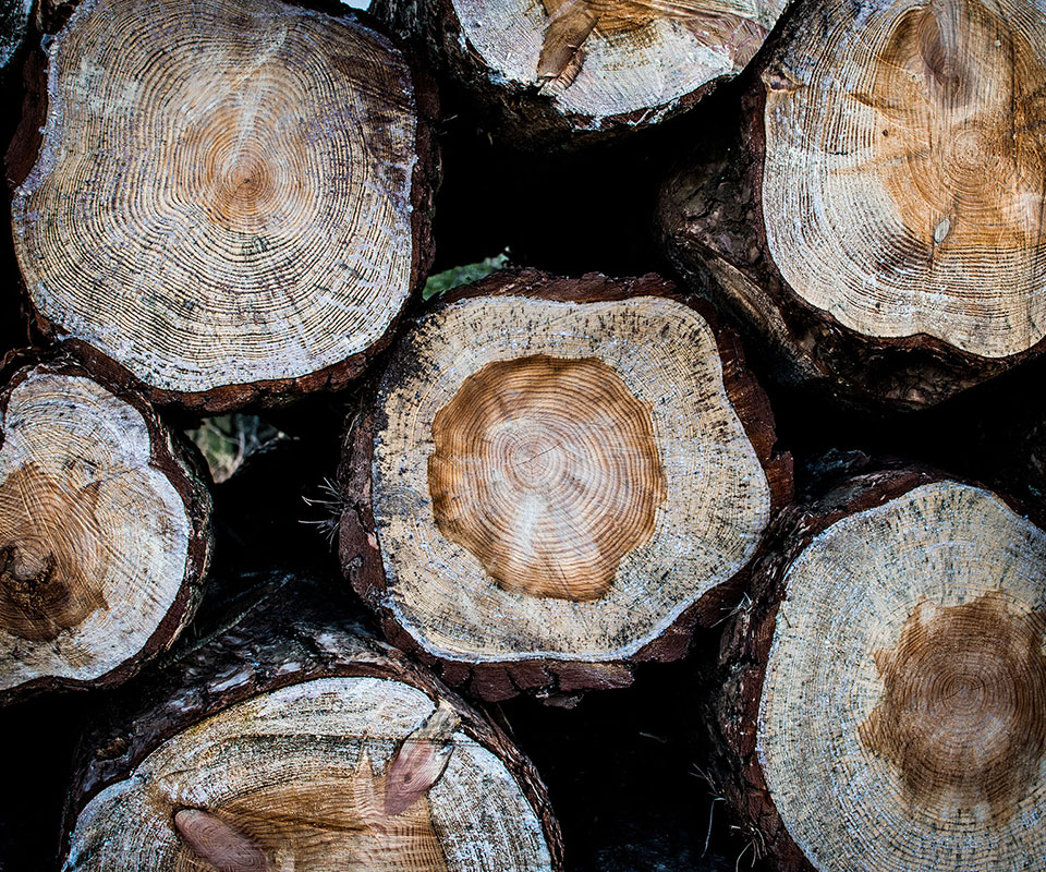 Aliquam amet atque deleniti dignissimos dolor