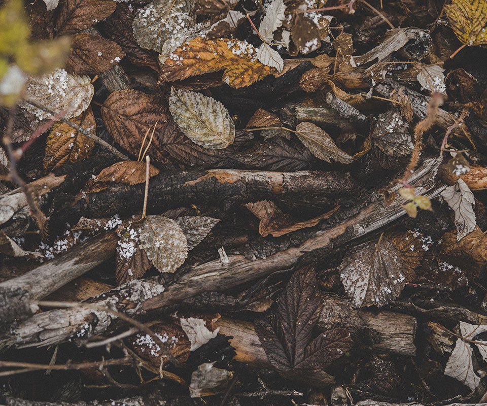 Our Company Offer A Wide Range Of