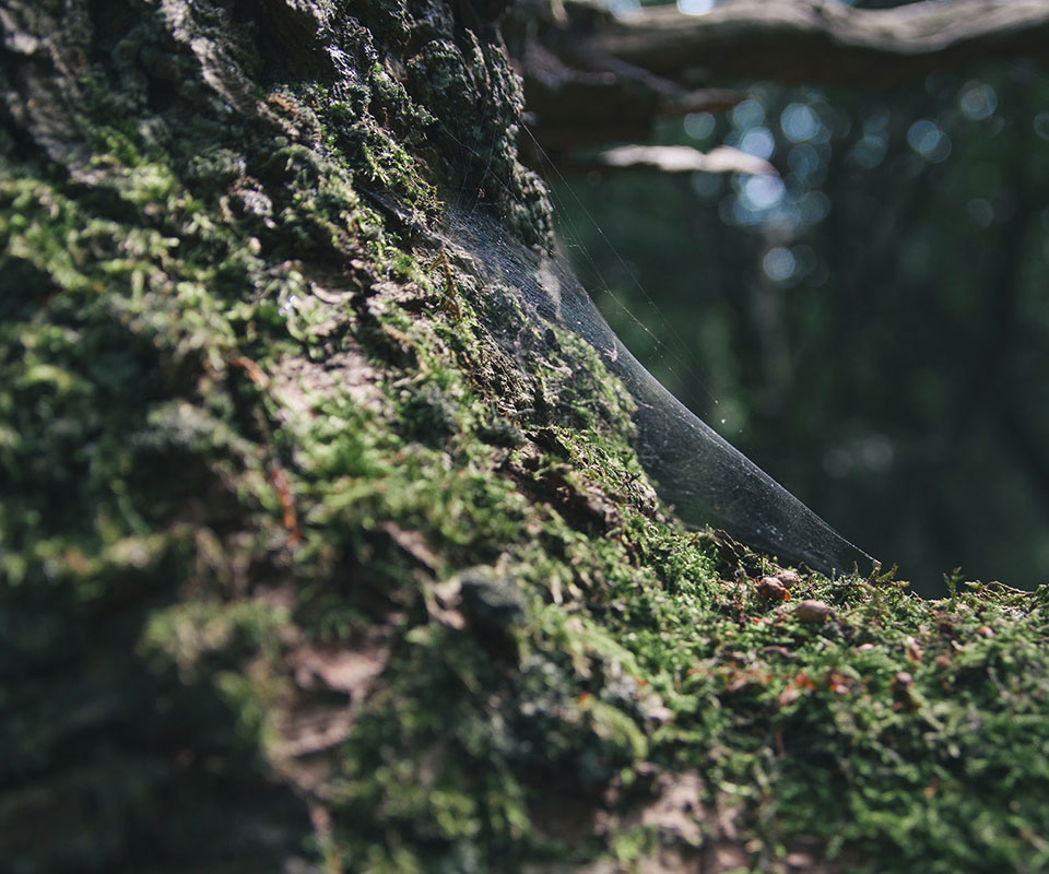 Our Company Offer A Wide Range Of