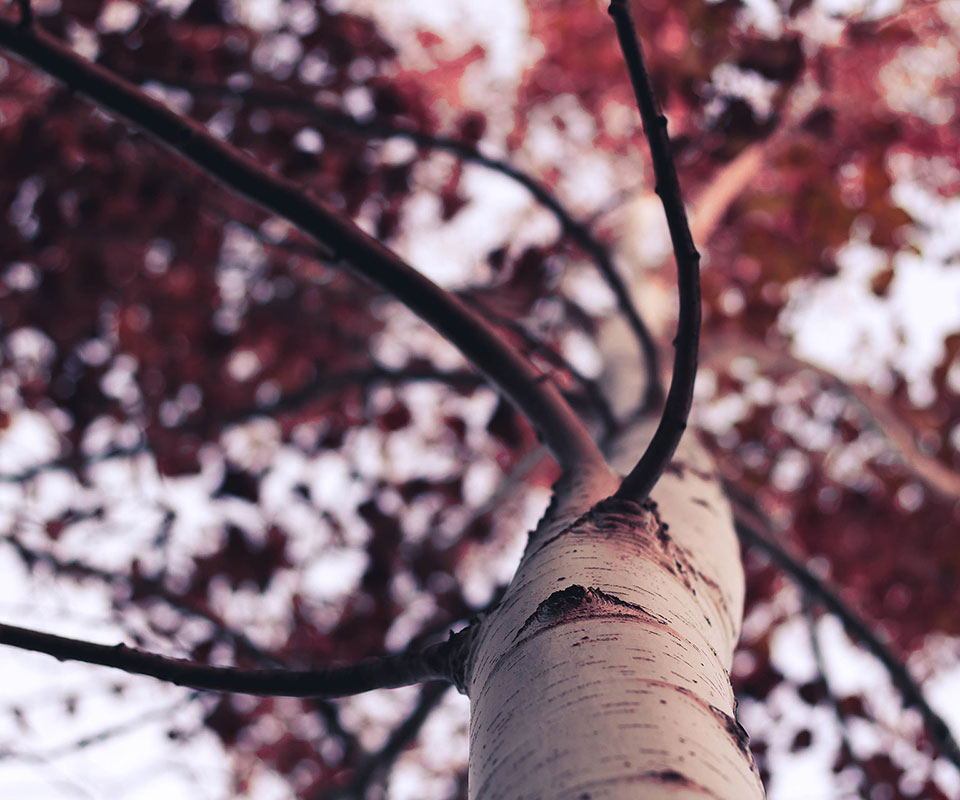 Our Company Offer A Wide Range Of