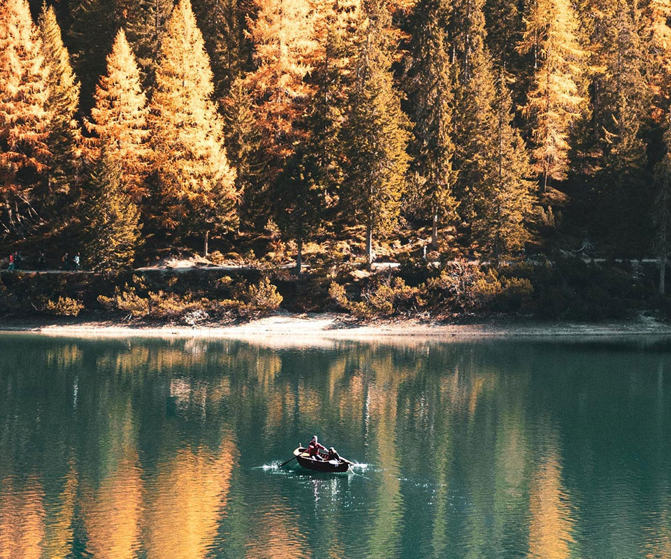 Our Company Offer A Wide Range Of