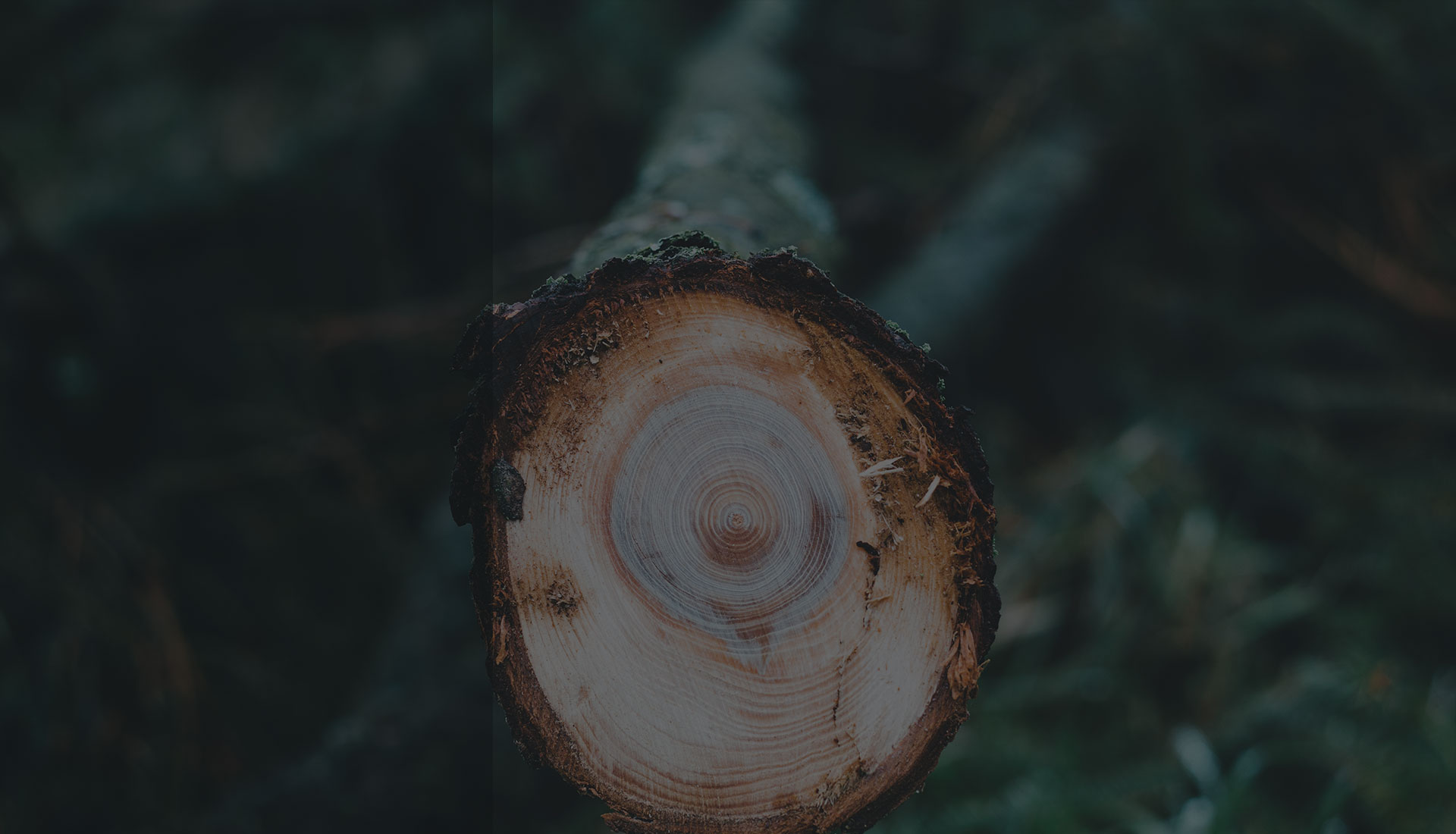 Slide #1 copy copy Slide background