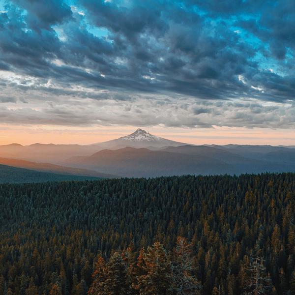 Aliquyam erat sed diam