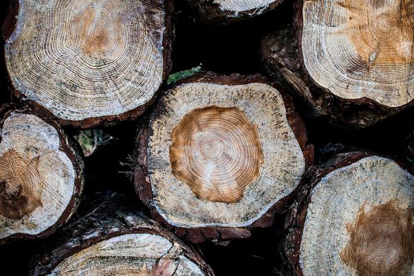 Elitr sed diam nonumy