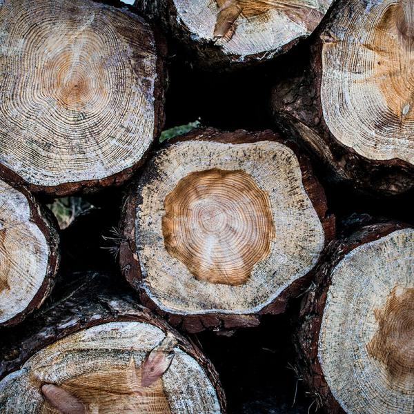 Elitr sed diam nonumy